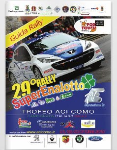 GUIDA RALLY 2010