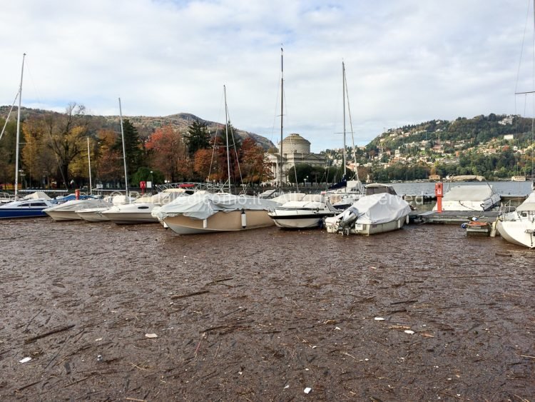 Lungolago Como: riaperta al traffico una corsia 5 sporcizia lago di como