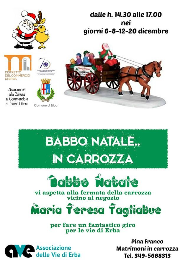 Erba-Carrozza-babbo-natale