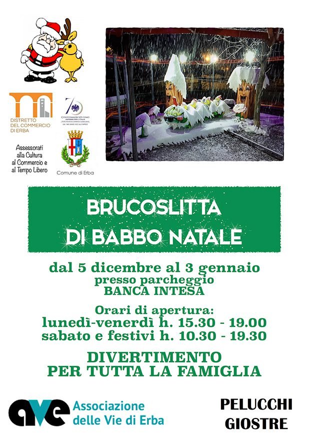 Erba-brucoslitta-natale