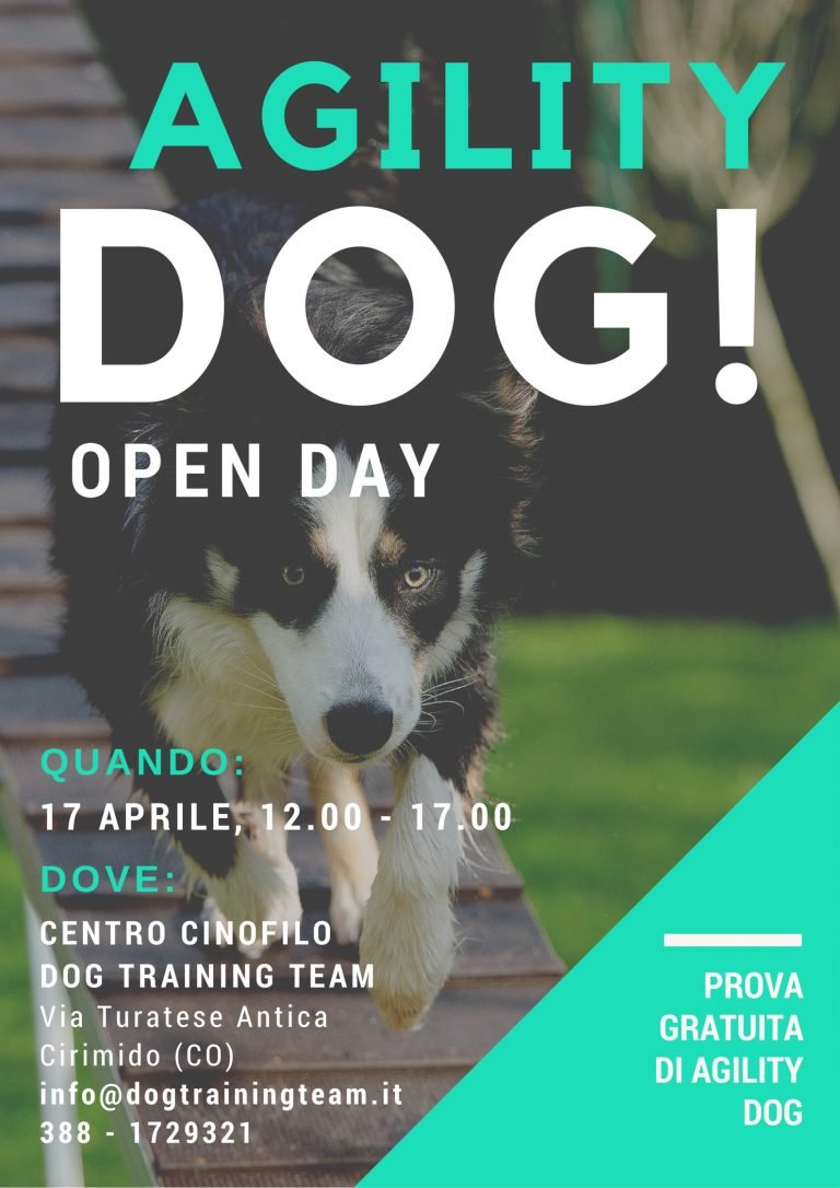 Cirimido: Agility Dog - Open Day 4 locandina agility dog aprile 2016